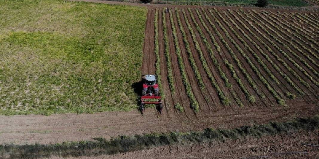 Adı şeker, lezzeti tescilli! Gümüşhane’den tüm Türkiye’ye: Kilosu 250 TL’den çokça satılıyor 2